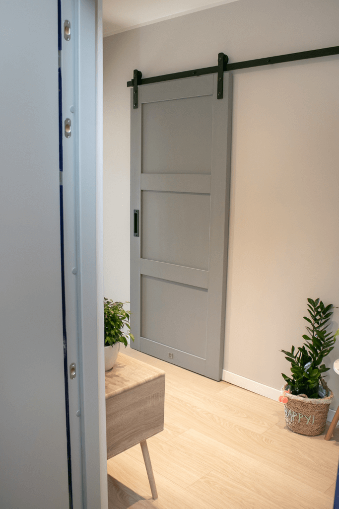 Schiebetür im Wohnblock, Holzschiebetür, Schiebetür für Speisekammer, graue Schiebetür, Schiebetür für Hauswirtschaftsraum, Blumen in der Halle