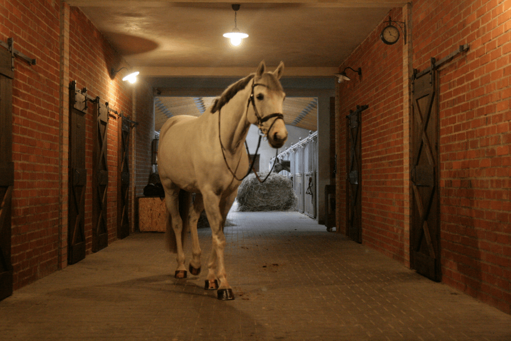 barn door-stil Schiebetüren, Schiebetür im Stallungen, Holztür, Massivholztür, Türen aus Kiefer, Schiebesystem im rustikalen Stil, rustikale Schiebetür