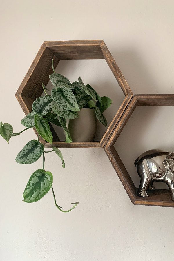 Sechseckiges Holzregal Sechseckiges Holzregal